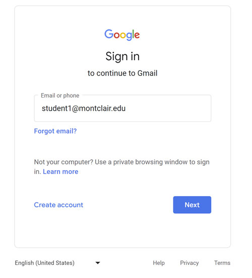 Screenshot of google sign on.